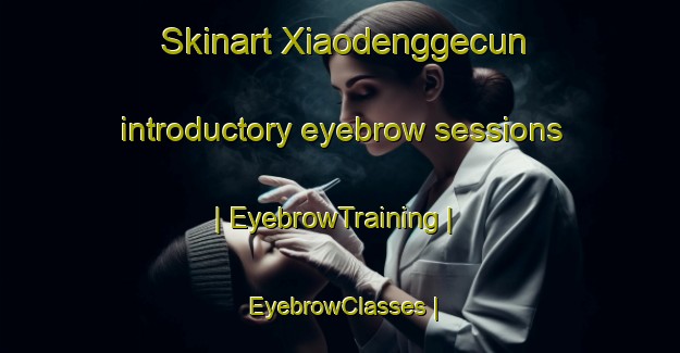 Skinart Xiaodenggecun introductory eyebrow sessions | EyebrowTraining | EyebrowClasses | SkinartTraining-China